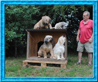 KH & 4 Hunde